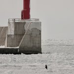 Photo taken by Iain M