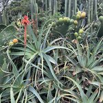 Photo taken by Vicki Lynn M