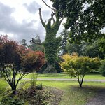 Photo taken by Sullivan S