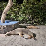 Photo taken by Lisa T