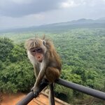 Photo taken by Anisha L