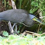 Photo taken by Graeme W