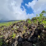 Photo taken by Emelyn J