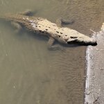 Photo taken by Morton A