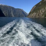 Photo taken by Erin C