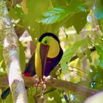 Photo taken by KLAUS A