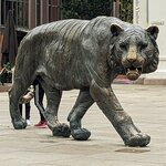 Photo taken by Emily C