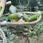 Photo taken by Graciela P