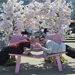 Photo taken by Mark C