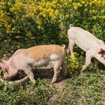 Photo taken by Karen M