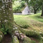 Love the grass on the roof | Photo taken by Gilbert R