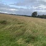 Photo taken by Marie D