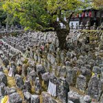 Photo taken by Joy W