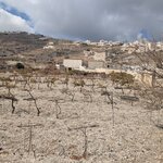 Photo taken by Nicole W