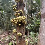 Photo taken by Nathalie B