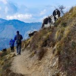 Photo taken by Cesar A