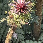 Photo taken by Bonnie Y