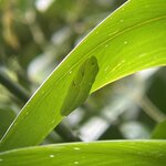 Photo taken by Kozue N