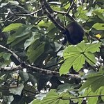 Photo taken by Jaya C