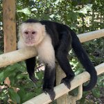 Photo taken by Blair H