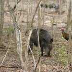 Photo taken by Nancy P