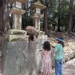 Photo taken by Sarah S