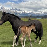 Photo taken by Marcia R