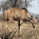 Photo taken by Paul B