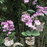 Photo taken by Laurie W