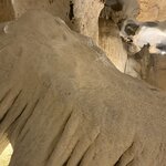 Photo taken by Ricky B