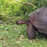 Photo taken by Jennifer A