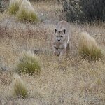 Photo taken by Martine B