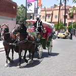 null | Photo taken by Wayne P