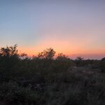 Photo taken by Yin Ling K