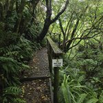 Photo taken by Laura C