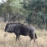 Photo taken by rhonda c