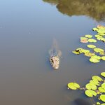 Photo taken by Bree J