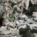 Photo taken by David W