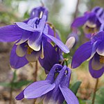 Photo taken by Kathleen L