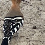 Photo taken by Fuad A