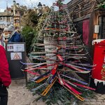 Photo taken by Kathleen H