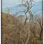 Photo taken by Fiona C