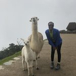 Photo taken by Schemilda A