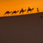 Photo taken by Mark W