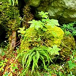 Photo taken by Kim R