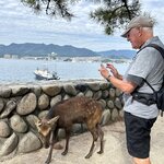 Photo taken by Carol M