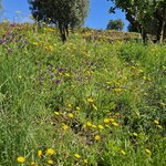 Photo taken by Jon C