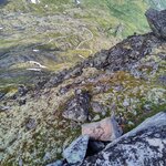 Photo taken by sybil p