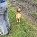 Photo taken by Vicki Lynn M