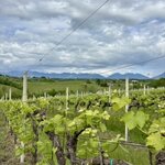 Photo taken by cassie f